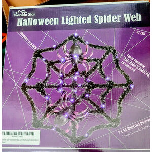 BUNDLE deal 🎃 👻 Halloween lighted spider web & Lamp Decor